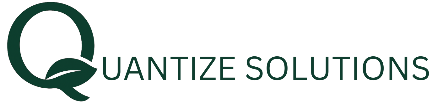 Quantize Solutions Logo
